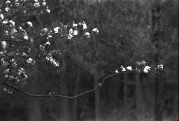 Makiflex Test Delta 3200.jpg
