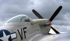 mustang.jpg
