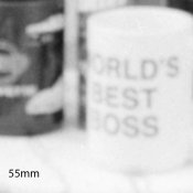 55mm-crop.jpg