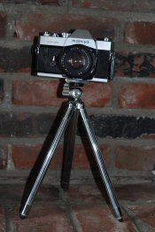 DSC_4236.JPG