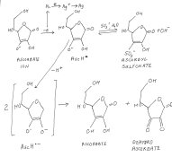 Ascorbate reactions 2.jpg