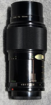 100mm Canon Macro (2).JPG