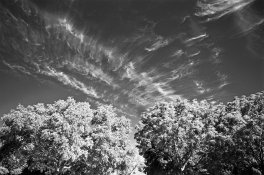 RR80s red filter.jpg