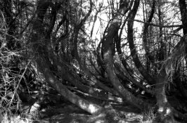 scan0012.jpg
