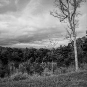 20151003-img344.jpg