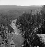 Yellowstone006.jpg