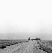 Arista EDU Ultra006.jpg