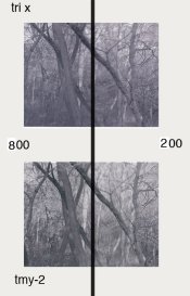 200-800.jpg
