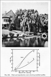 Willow Pond 1.jpg