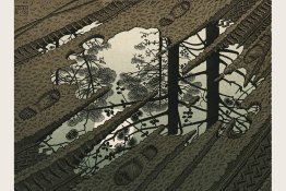 esher - the puddle.jpg