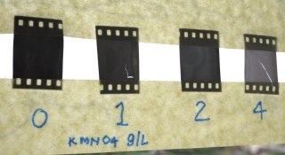 DHA-2.jpg