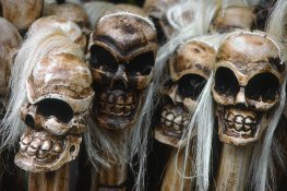 walkingheads.jpg