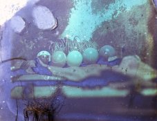 IMG_3666_sm.jpg