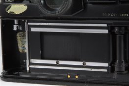 IMG_3943_IJFR (Custom).jpg