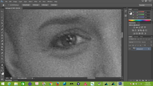 Parallels Picture.png