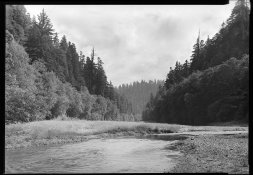 RedwoodCreek.jpg