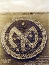 Living+Photographs,+photographs+created+by+assembling+sailors+and+soldiers,+1918+(5).jpg