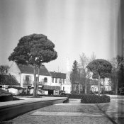 HP5Plus_03.jpg