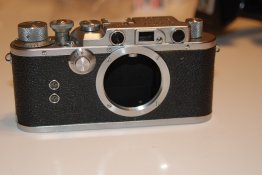 DSC_426840.jpg