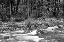 merced river 2.jpg