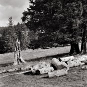 10044a-Bernau 2005.jpg