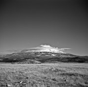 mt shasta.jpg