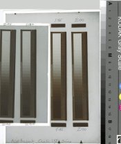 Kalli-4.1.jpg