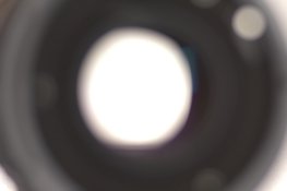 Mamiya_80mm_f2.8_150945_(10_of_12).jpg