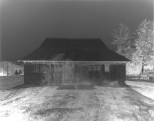wolly159 negative.jpg