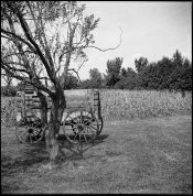 L2_FujiAcros100_HC110B436.jpg