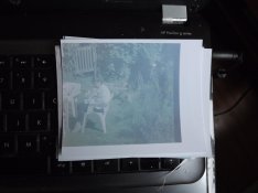 DSCF6039.jpg