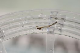 Development Problems-17.jpg