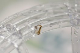 Development Problems-18.jpg