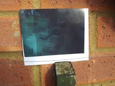 DSCF6051.jpg