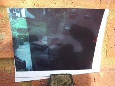 DSCF6053.jpg