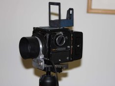 96086435.jpg