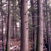 Scan-160126-0014s.jpg