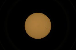 DSC_5312.jpg