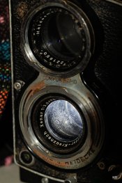 _MG_8122-1.jpg