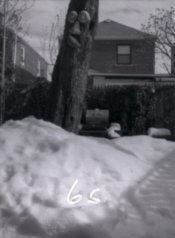 6s.JPG