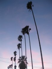 IMG_3950.jpg