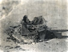 jan feb 2016 msa print 1.jpg