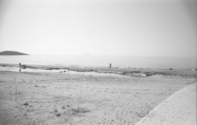 IMG0006.jpg IMG0006.jpg