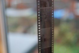 DSC_8041.jpg