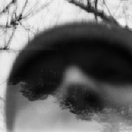 Dustin McAmera