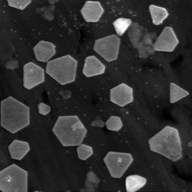 Monomer