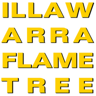 illawarraflametree