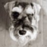 Ailsa