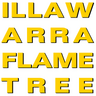 illawarraflametree