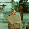 Juan Cruz Le